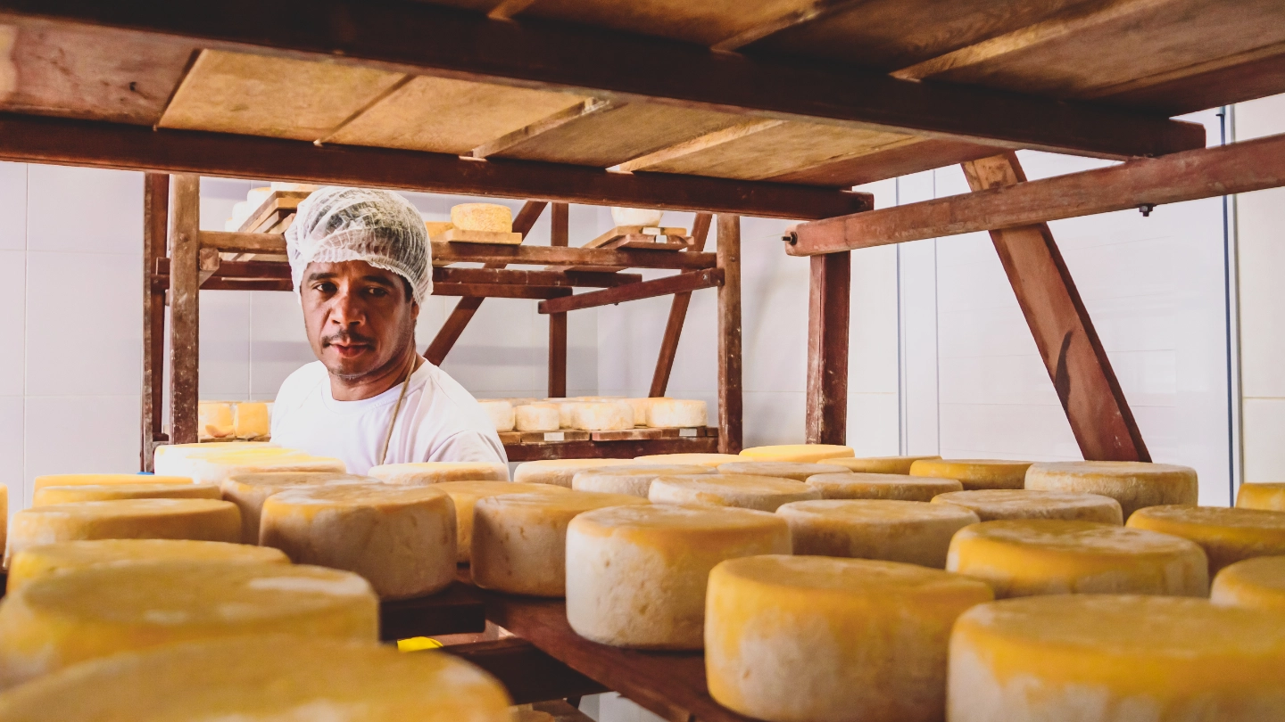 Worker examining rows of cheese on a shelf image
