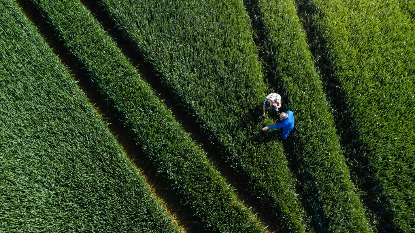 2efd5364036d1b2a5f07d98bcac33235 green field